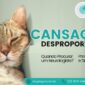 ALERGOLÓGICA - blog - Cansaço Desproporcional